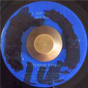 African Brothers  - Mysterious Nature download mp3 flac