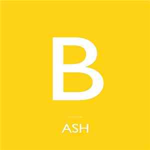 Ash - Joy Kicks Darkness download mp3 flac