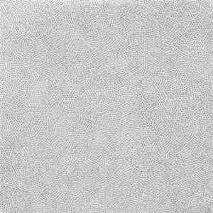 Asuna - 100 Keyboards download mp3 flac