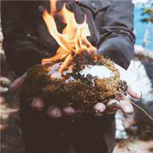 Botfly - Botfly download free Botfly - Botfly download mp3 flac