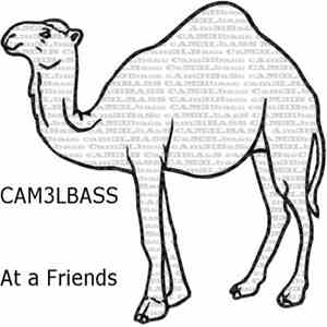 Cam3lbass - At A Friends download mp3 flac
