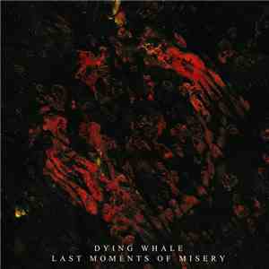 Dying Whale - Last Moments Of Misery download free