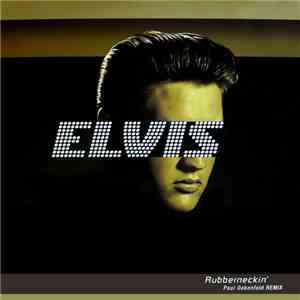 Elvis Presley - Rubberneckin' (Paul Oakenfold Remix) download mp3 flac
