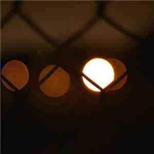 Fluxion - Vibrant Forms download mp3 flac