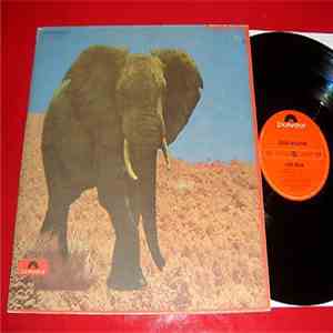 Food Brain - Social Gathering download mp3 flac