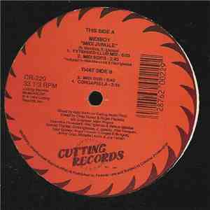 Midiboy - Midi Jungle download mp3 flac