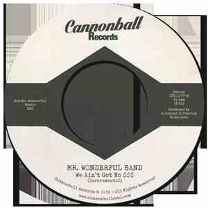 Mr. Wonderful Production Band - We Ain't Got No $$$ download mp3 flac