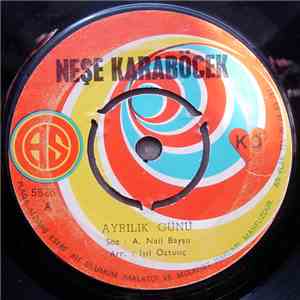 Neşe Karaböcek - Ayrılık Günü / Aşık Olamıyorum download free