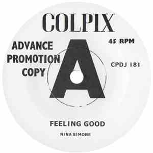 Nina Simone - Feeling Good download mp3 flac
