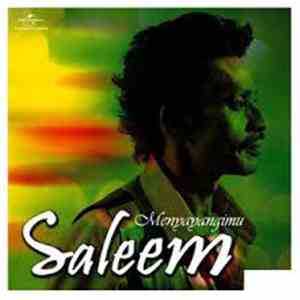 Saleem - Menyayangimu download mp3 flac