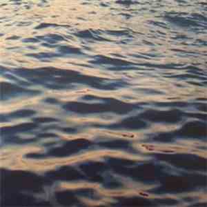 Snakadaktal - Sleep In The Water download mp3 flac