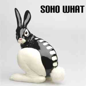 Soho What - The First Impression Last download free
