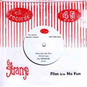 The Strange - Flies download free The Strange - Flies download mp3 flac
