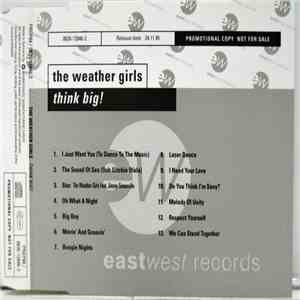 The Weather Girls - Think Big! download mp3 flac
