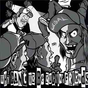 Various - Why Can’t We Be Fuckin' Friends download mp3 flac