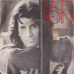 Walter Foini - Non Va Che Torno / Canta download mp3 flac